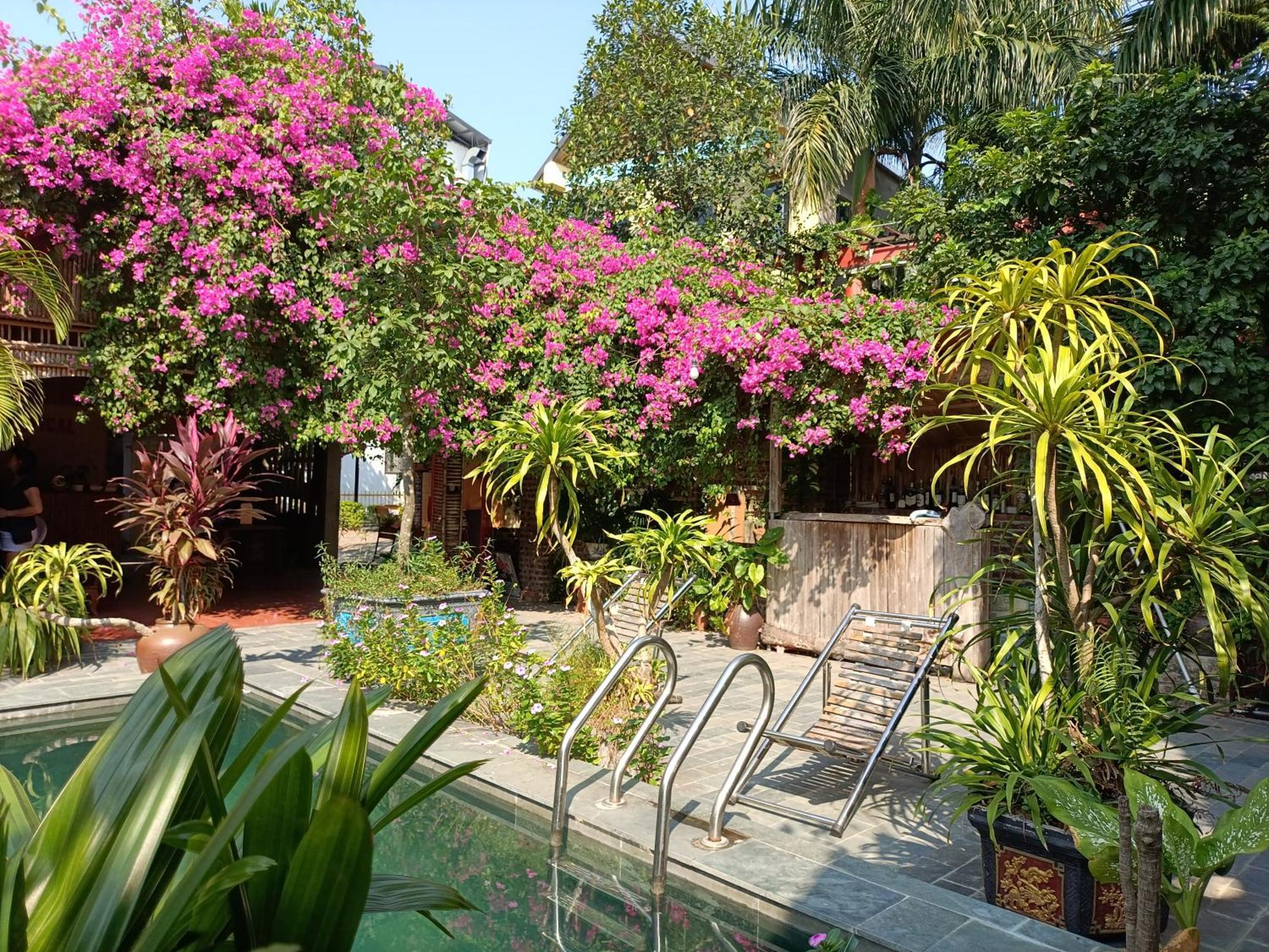 Hotel Tam Coc Tropical Garden à Ninh Bình Extérieur photo
