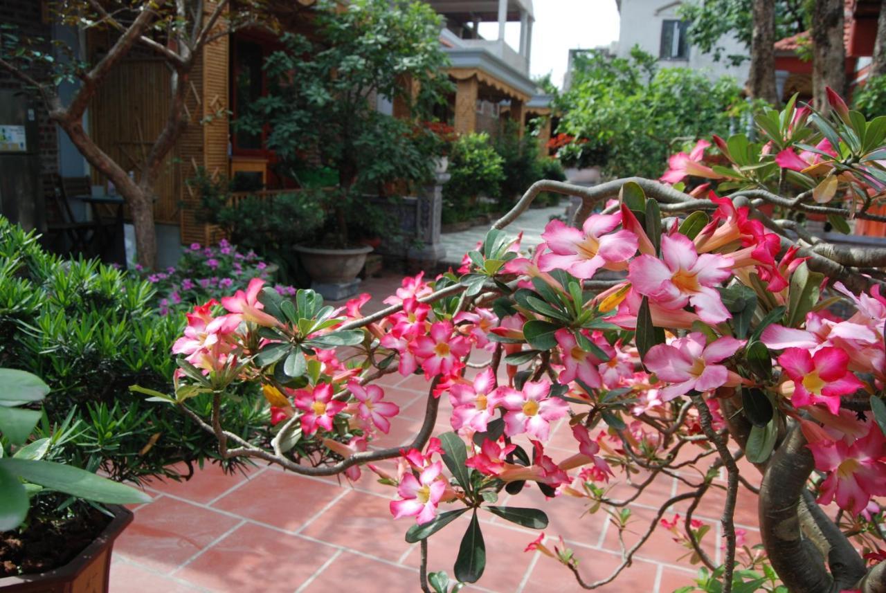 Hotel Tam Coc Tropical Garden à Ninh Bình Extérieur photo